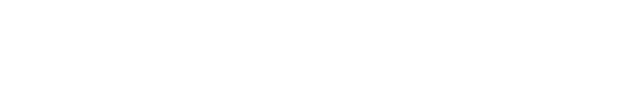Lex Securities Advisory